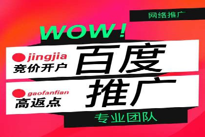 百度竞价广告投放的实战经验与案例分析